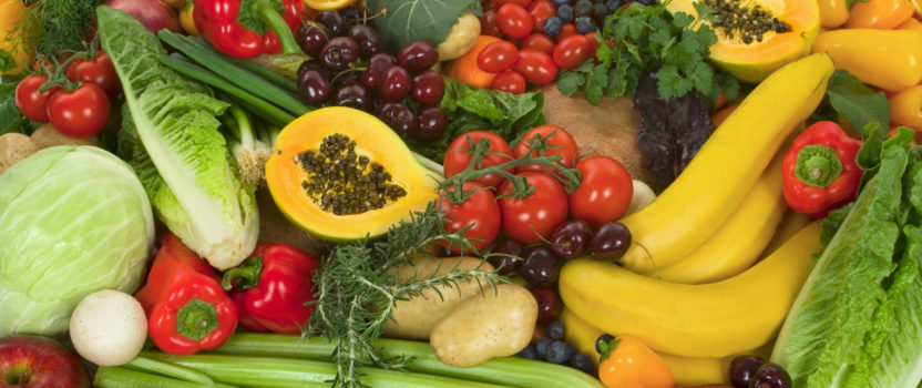 The Benefits of a Plant-based diet