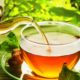 Green tea really is a superfood extraordinaire!