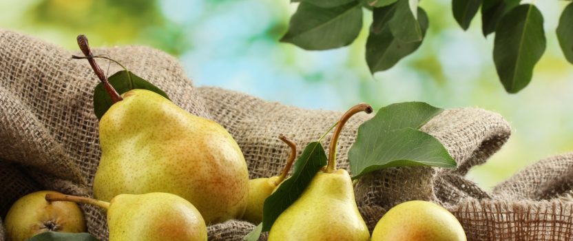 Pears – many varieties, many health benefits!