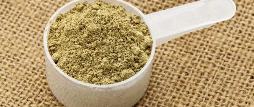 Protein powders – Hemp’s the best