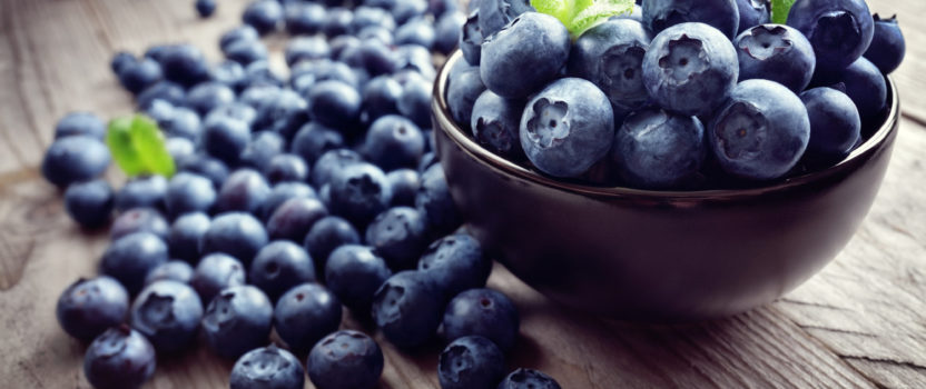 Blueberries in winter