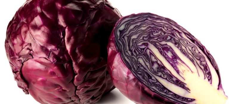 Red Cabbage beats Green!