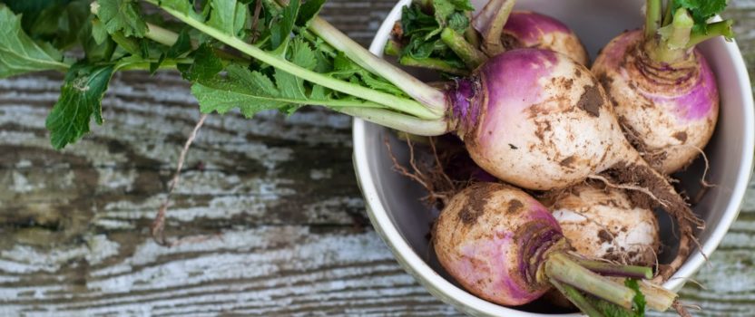 Turnip Time – don’t throw the greens!