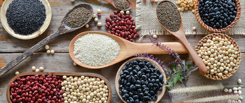 What are lectins?