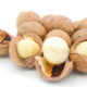 Macadamia Nuts