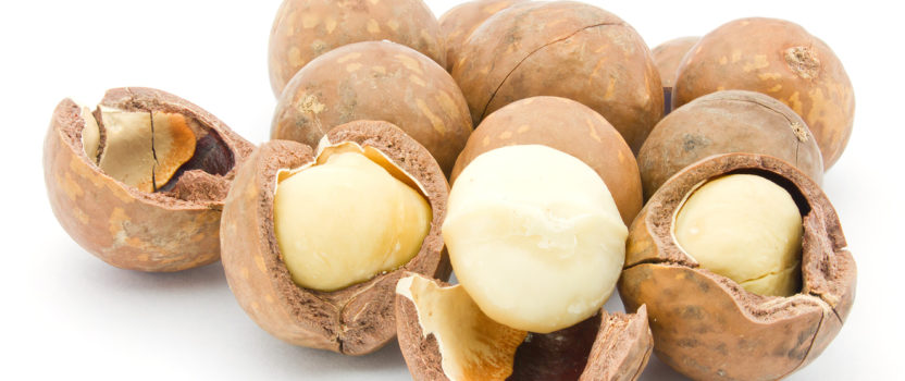 Macadamia Nuts